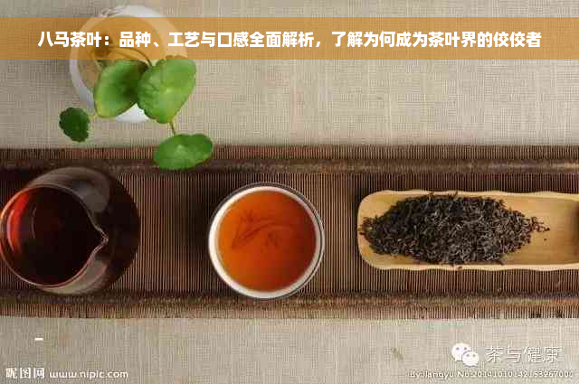 八马茶叶：品种、工艺与口感全面解析，了解为何成为茶叶界的佼佼者