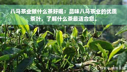 八马茶业做什么茶好喝：品味八马茶业的优质茶叶，了解什么茶最适合您。