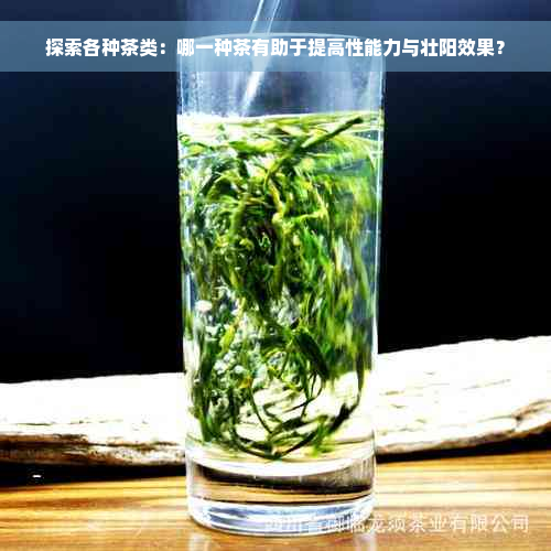 探索各种茶类：哪一种茶有助于提高性能力与壮阳效果？