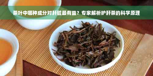 茶叶中哪种成分对肝脏最有益？专家解析护肝茶的科学原理