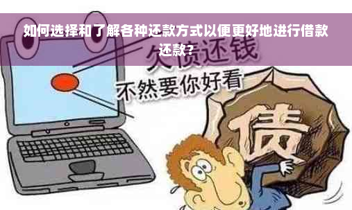 如何选择和了解各种还款方式以便更好地进行借款还款？