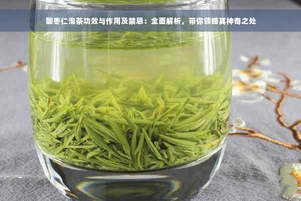 酸枣仁泡茶功效与作用及禁忌：全面解析，带你领略其神奇之处