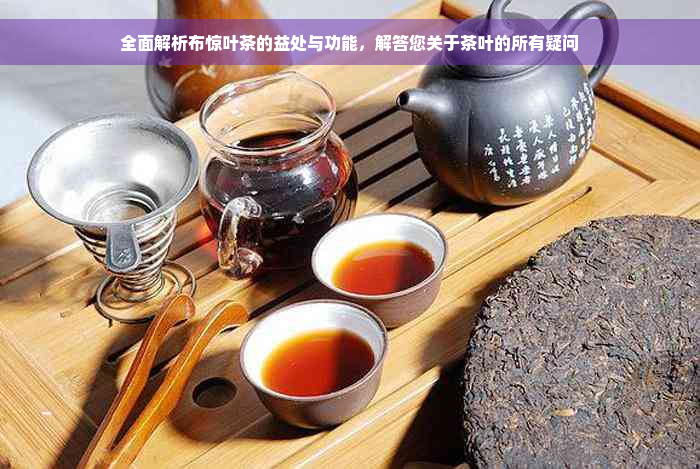 全面解析布惊叶茶的益处与功能，解答您关于茶叶的所有疑问