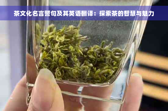 茶文化名言警句及其英语翻译：探索茶的智慧与魅力