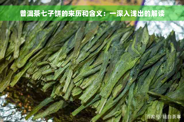 普洱茶七子饼的来历和含义：一深入浅出的解读