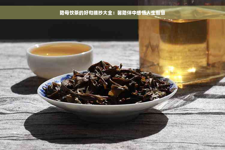 陪母饮茶的好句摘抄大全：馨陪伴中感悟人生智慧