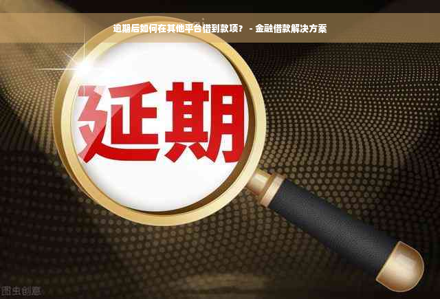 逾期后如何在其他平台借到款项？ - 金融借款解决方案