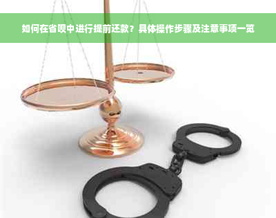 如何在省呗中进行提前还款？具体操作步骤及注意事项一览