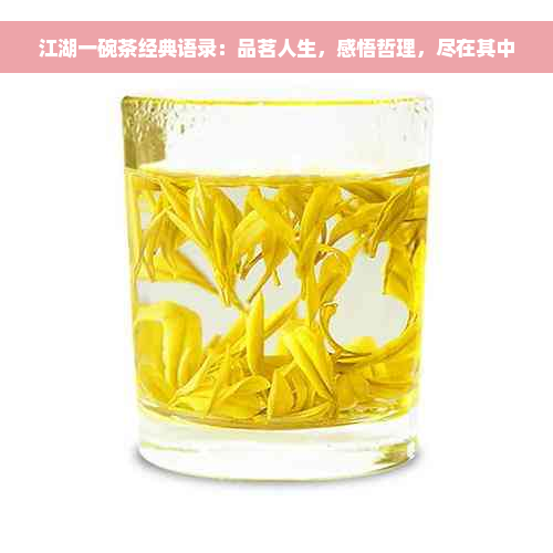 江湖一碗茶经典语录：品茗人生，感悟哲理，尽在其中