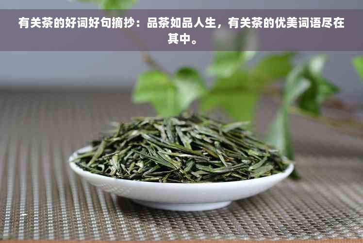 有关茶的好词好句摘抄：品茶如品人生，有关茶的优美词语尽在其中。