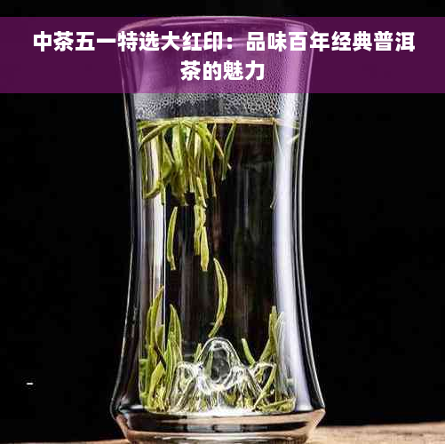 中茶五一特选大红印：品味百年经典普洱茶的魅力