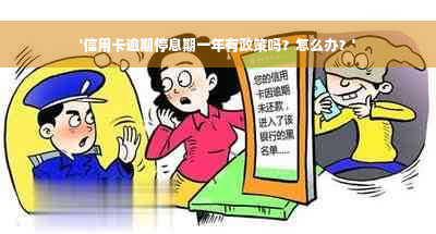 '信用卡逾期停息期一年有政策吗？怎么办？'