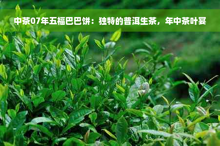 中茶07年五福巴巴饼：独特的普洱生茶，年中茶叶宴