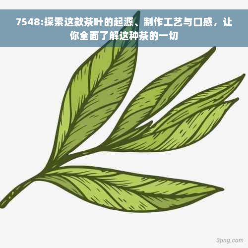 7548:探索这款茶叶的起源、制作工艺与口感，让你全面了解这种茶的一切