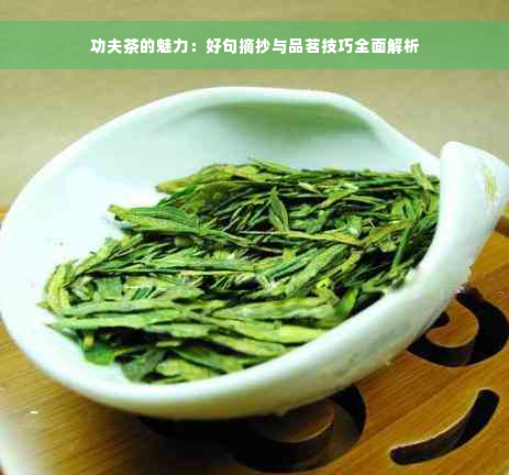 功夫茶的魅力：好句摘抄与品茗技巧全面解析