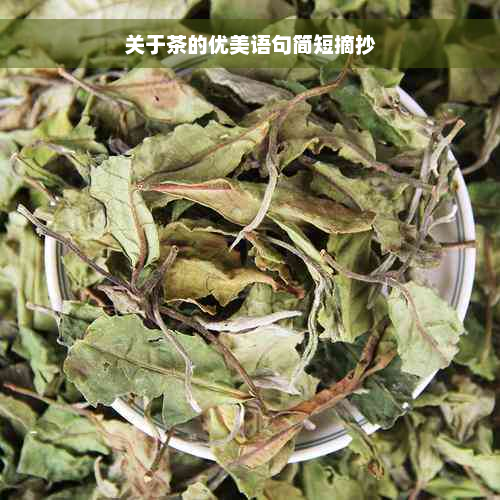 关于茶的优美语句简短摘抄