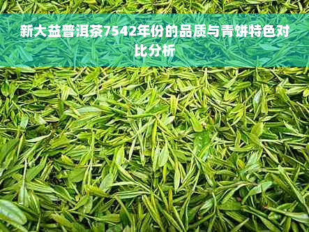 新大益普洱茶7542年份的品质与青饼特色对比分析