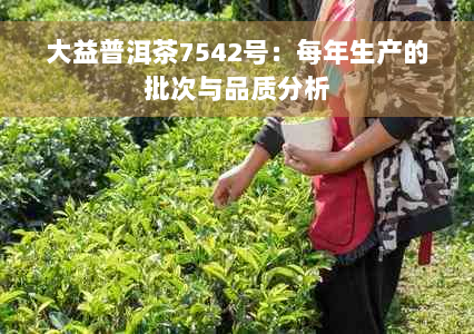 大益普洱茶7542号：每年生产的批次与品质分析