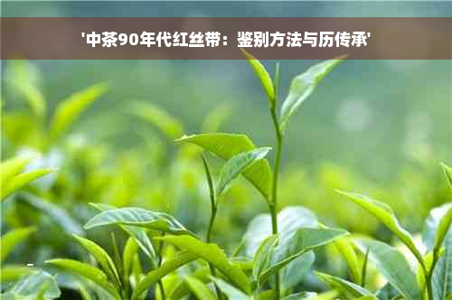 '中茶90年代红丝带：鉴别方法与历传承'