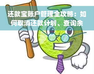 还款宝账户管理全攻略：如何取消还款计划、查询余额及解决常见问题