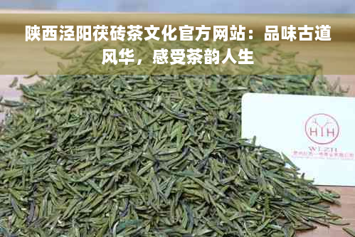 陕西泾阳茯砖茶文化官方网站：品味古道风华，感受茶韵人生