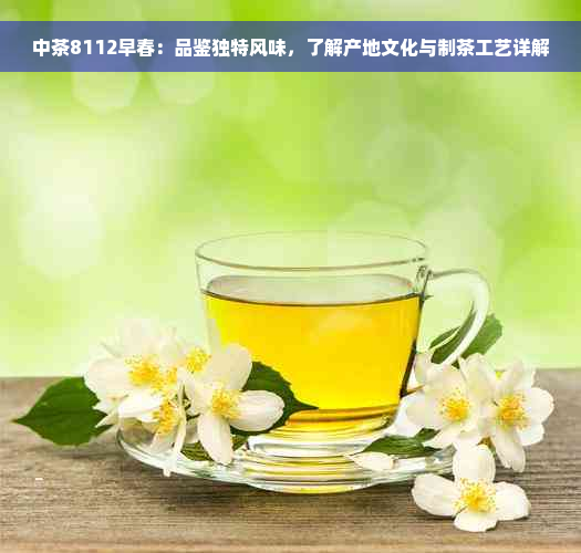 中茶8112早春：品鉴独特风味，了解产地文化与制茶工艺详解