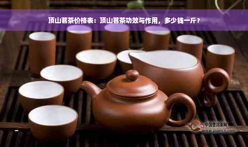 顶山茗茶价格表：顶山茗茶功效与作用，多少钱一斤？