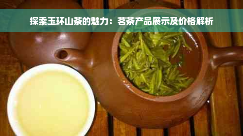 探索玉环山茶的魅力：茗茶产品展示及价格解析