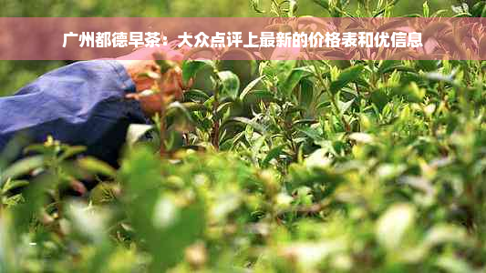 广州都德早茶：大众点评上最新的价格表和优信息