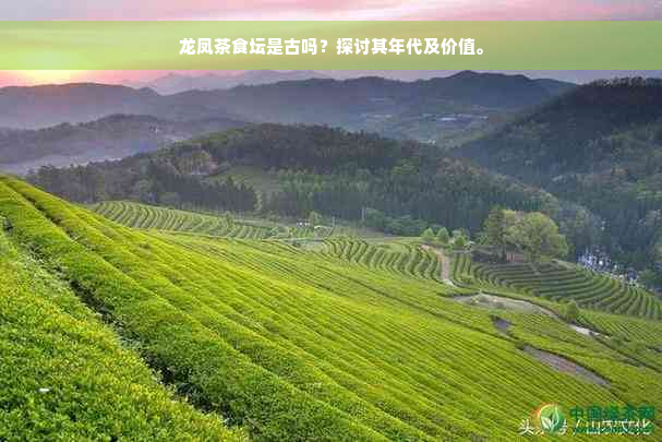 龙凤茶食坛是古吗？探讨其年代及价值。