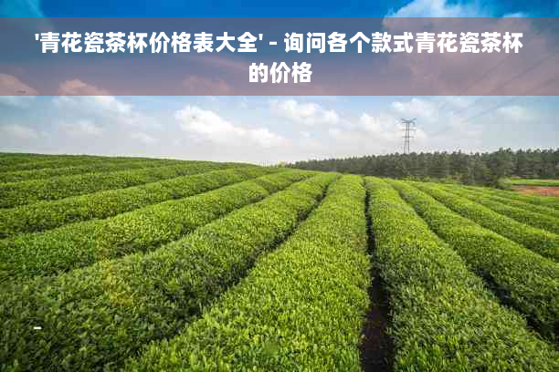 '青花瓷茶杯价格表大全' - 询问各个款式青花瓷茶杯的价格