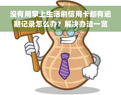 没有用掌上生活刷信用卡却有逾期记录怎么办？解决办法一览