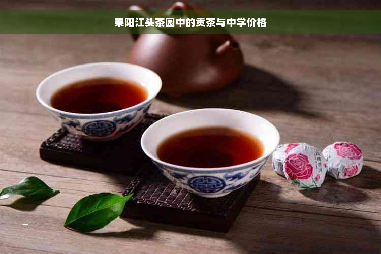 耒阳江头茶园中的贡茶与中学价格