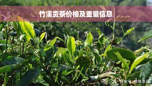 竹溪贡茶价格及重量信息