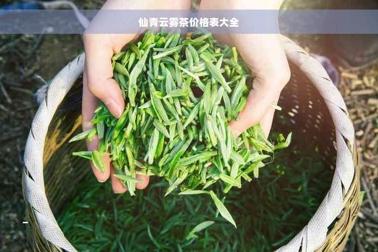 仙青云雾茶价格表大全