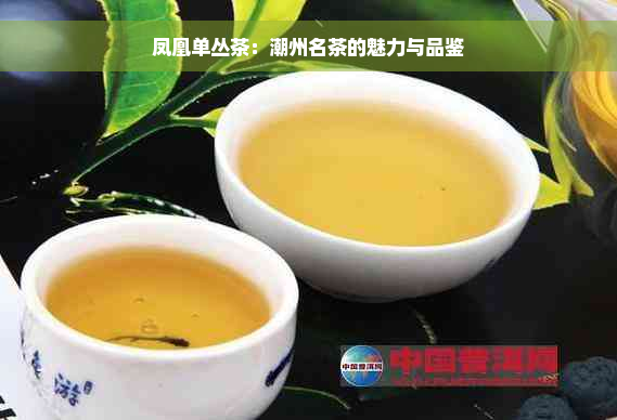 凤凰单丛茶：潮州名茶的魅力与品鉴