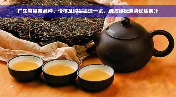 广东茗皇茶品种、价格及购买渠道一览，助您轻松选购优质茶叶