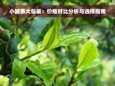 小罐茶大包装：价格对比分析与选择指南