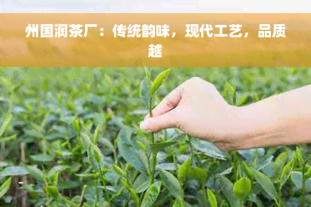 州国润茶厂：传统韵味，现代工艺，品质越