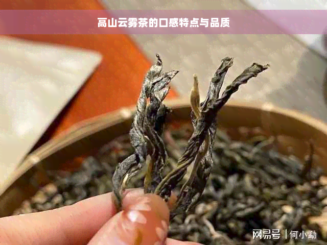 高山云雾茶的口感特点与品质