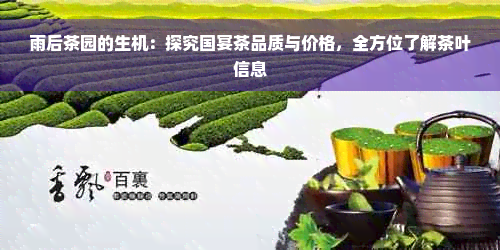 雨后茶园的生机：探究国宴茶品质与价格，全方位了解茶叶信息