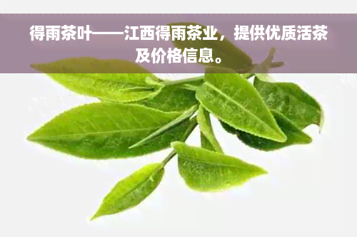 得雨茶叶——江西得雨茶业，提供优质活茶及价格信息。