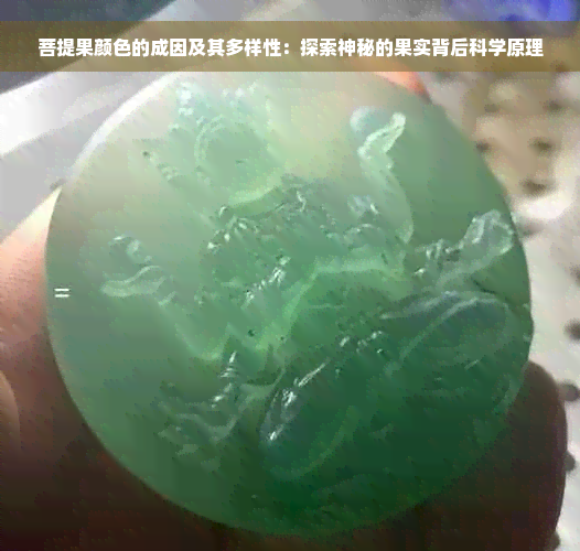 菩提果颜色的成因及其多样性：探索神秘的果实背后科学原理