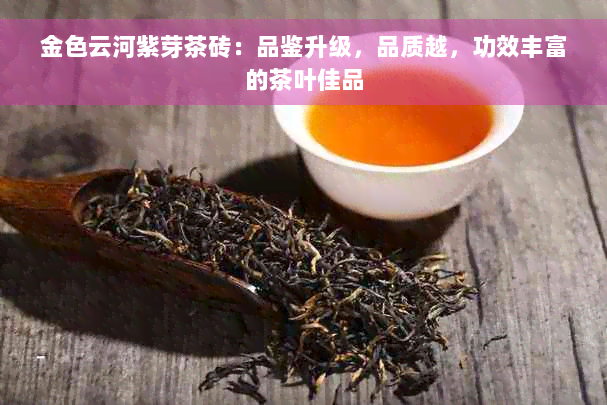 金色云河紫芽茶砖：品鉴升级，品质越，功效丰富的茶叶佳品