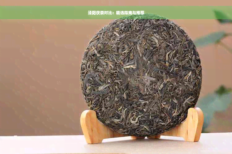 泾阳茯茶对比：精选指南与推荐