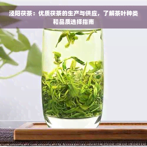 泾阳茯茶：优质茯茶的生产与供应，了解茶叶种类和品质选择指南