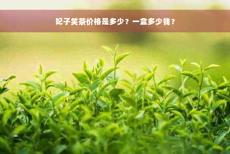 妃子笑茶价格是多少？一盒多少钱？