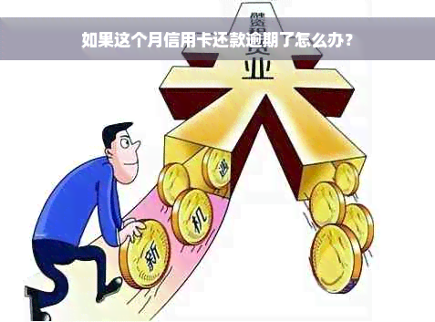 如果这个月信用卡还款逾期了怎么办？