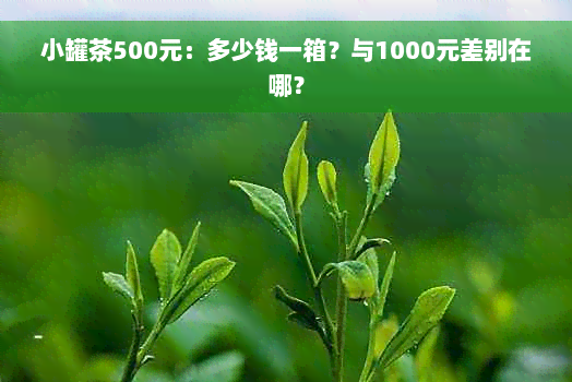 小罐茶500元：多少钱一箱？与1000元差别在哪？