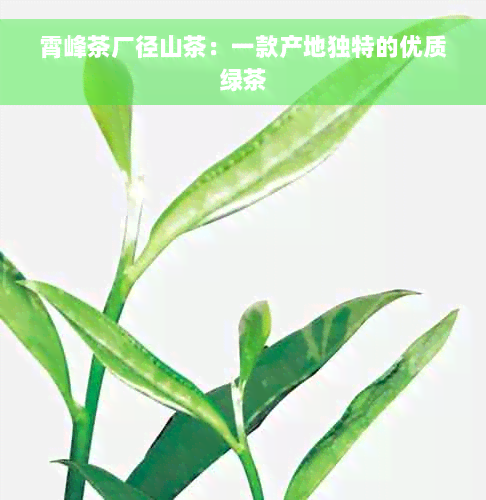 霄峰茶厂径山茶：一款产地独特的优质绿茶